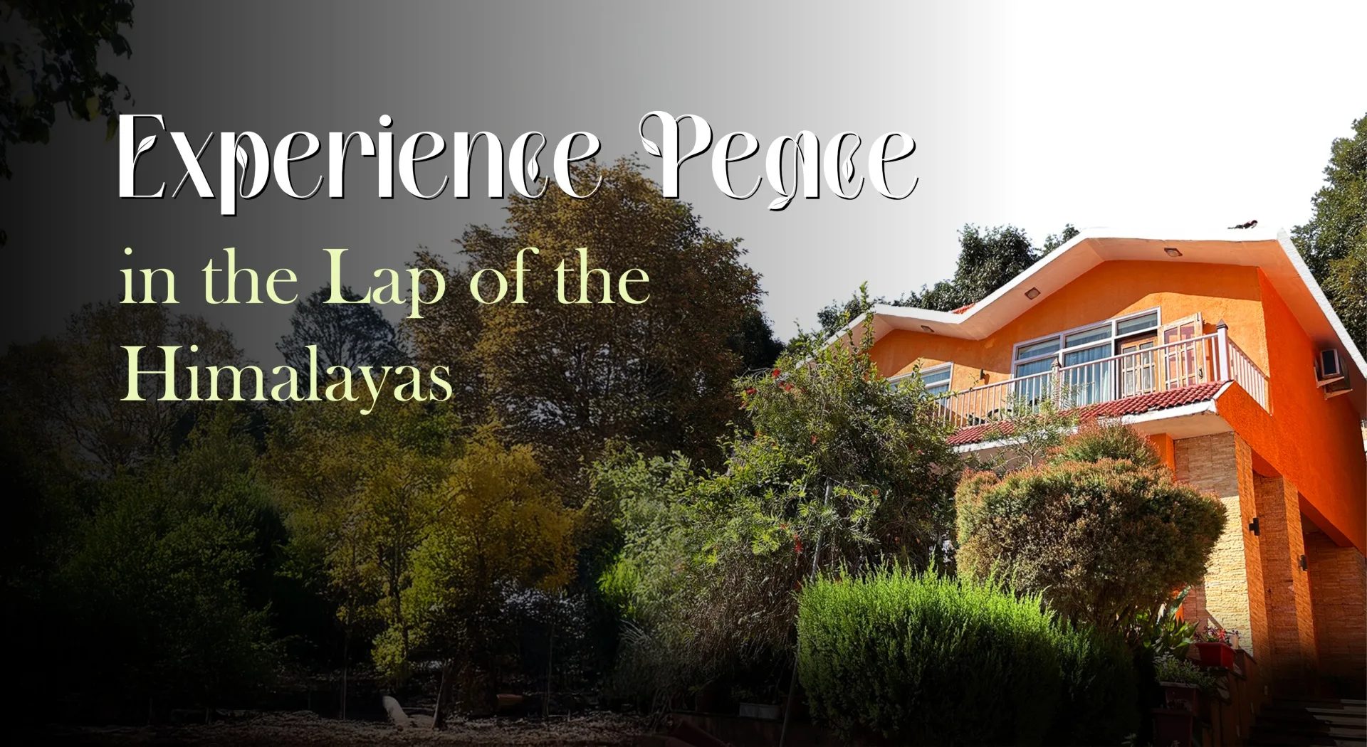 Best Wellness Luxury Resort in Uttarakhand