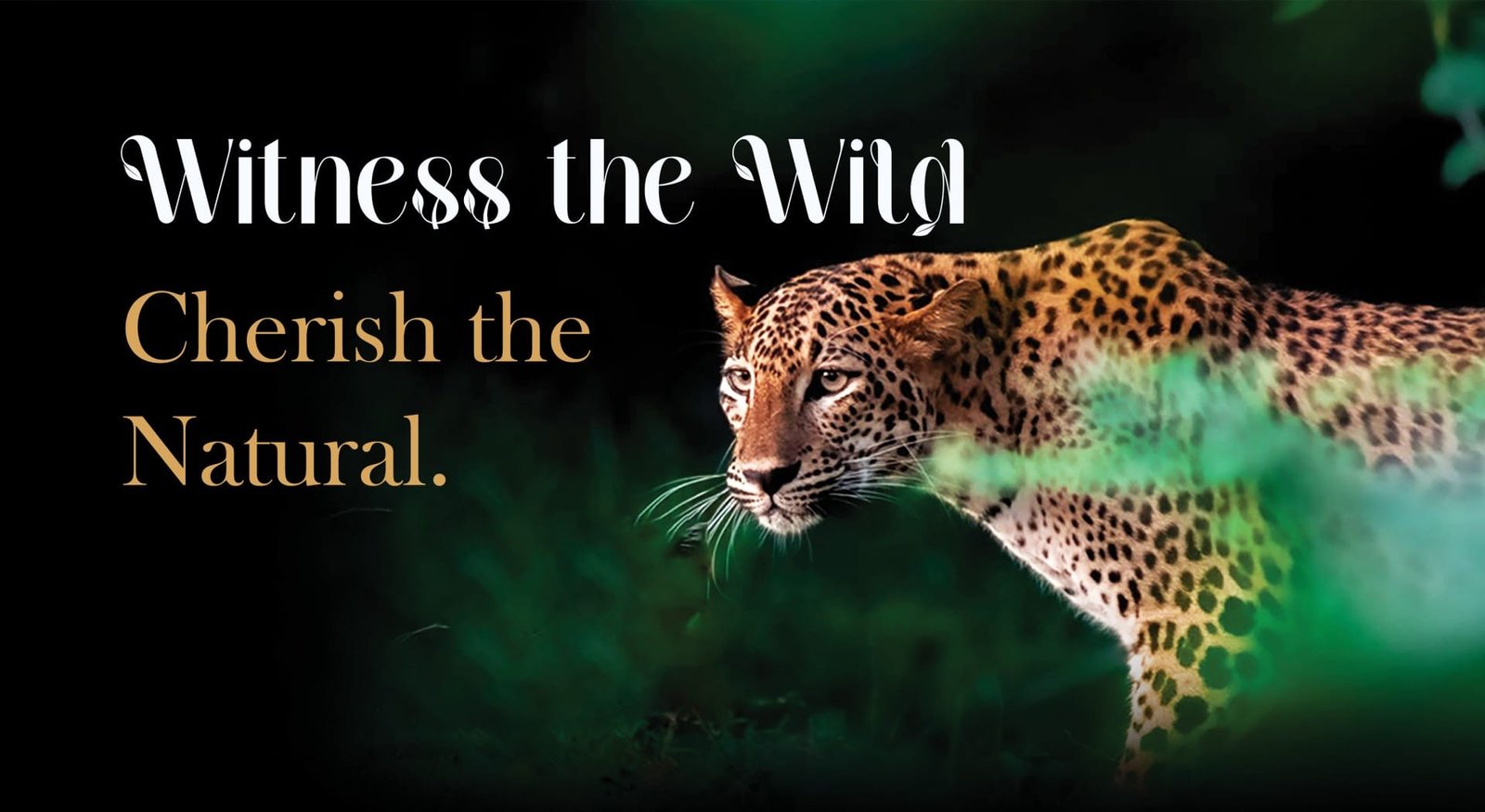 Offbeat resort in Uttarakhand