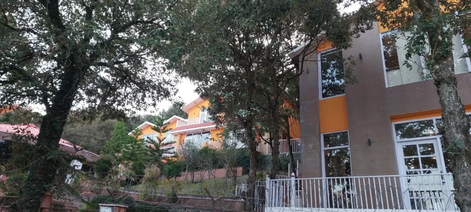 Experience the Best Pet Friendly Resorts in Jim Corbett at Essence of Nature