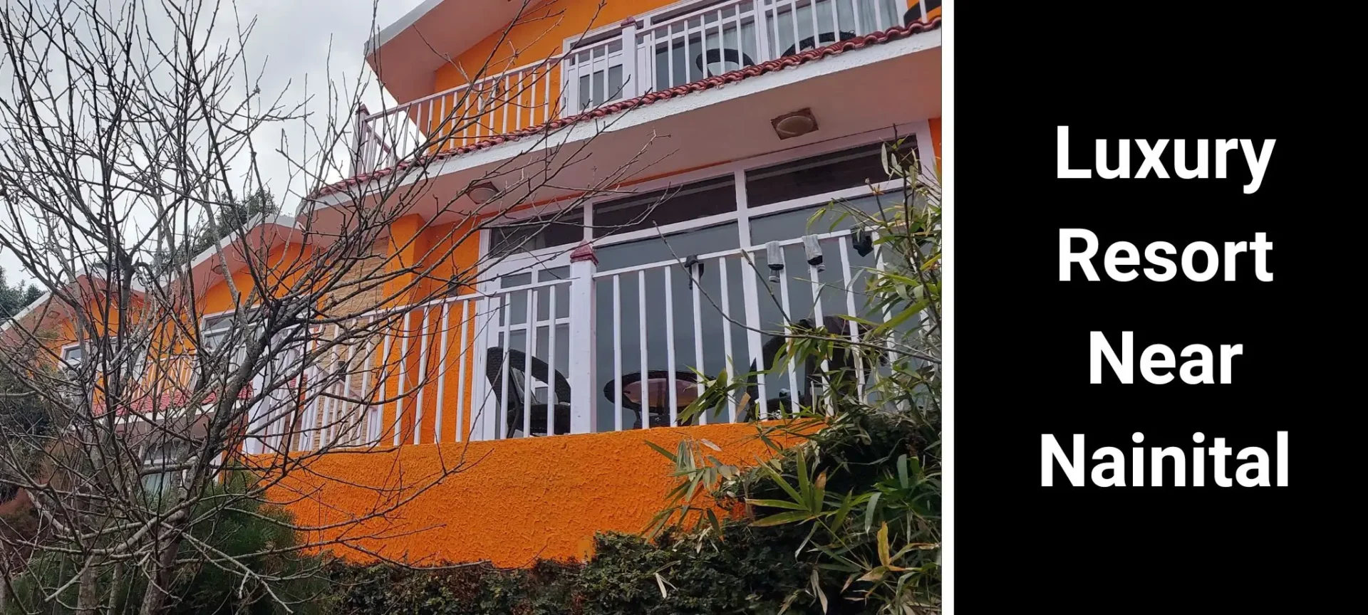 Resort Near Nainital | Luxury Stay Near Nainital