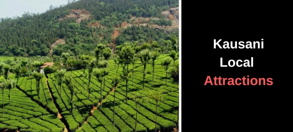 Explore Local Attractions During Your Stay Near Kausani