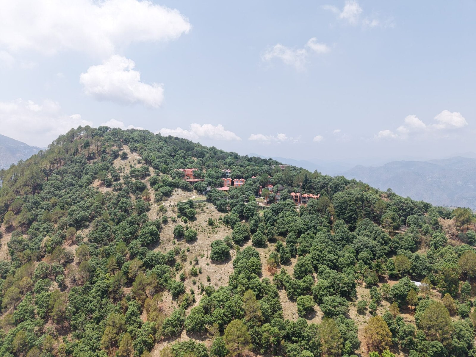 Resort near Dunagiri – Essence of Nature: A Luxury Escape in the Heart of Kumaon